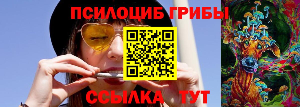 Ивантеевка  Галлюциногенные грибы Magic Shrooms  что такое   Вход с VPN  Галлюциногенные грибы ЛСД 
